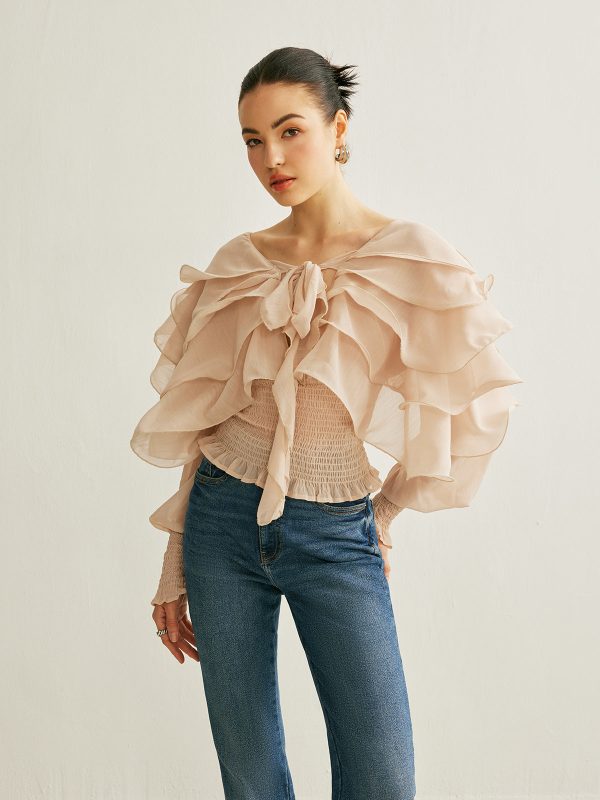 Semi-Sheer Chiffon Ruffle Backless Top - Image 3
