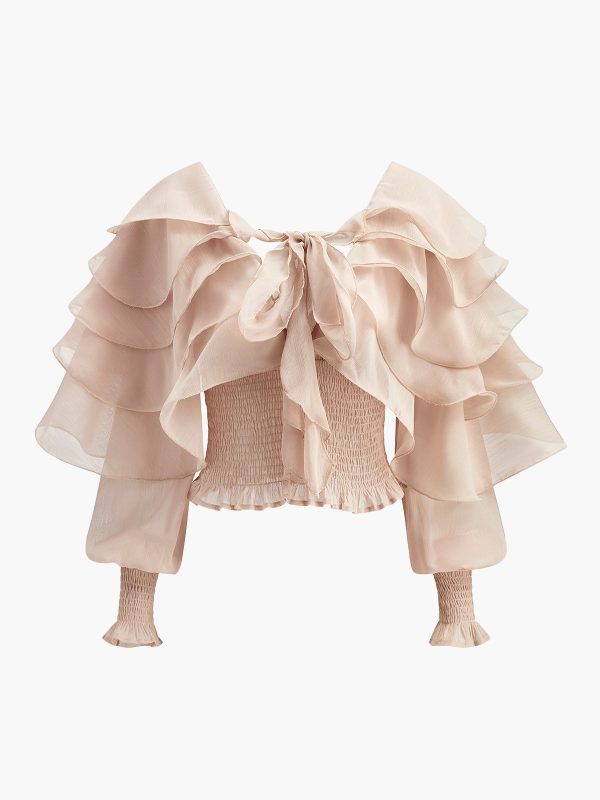 Semi-Sheer Chiffon Ruffle Backless Top - Image 2